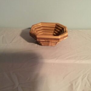 Collapsible Bowl – Medium Size (1b)